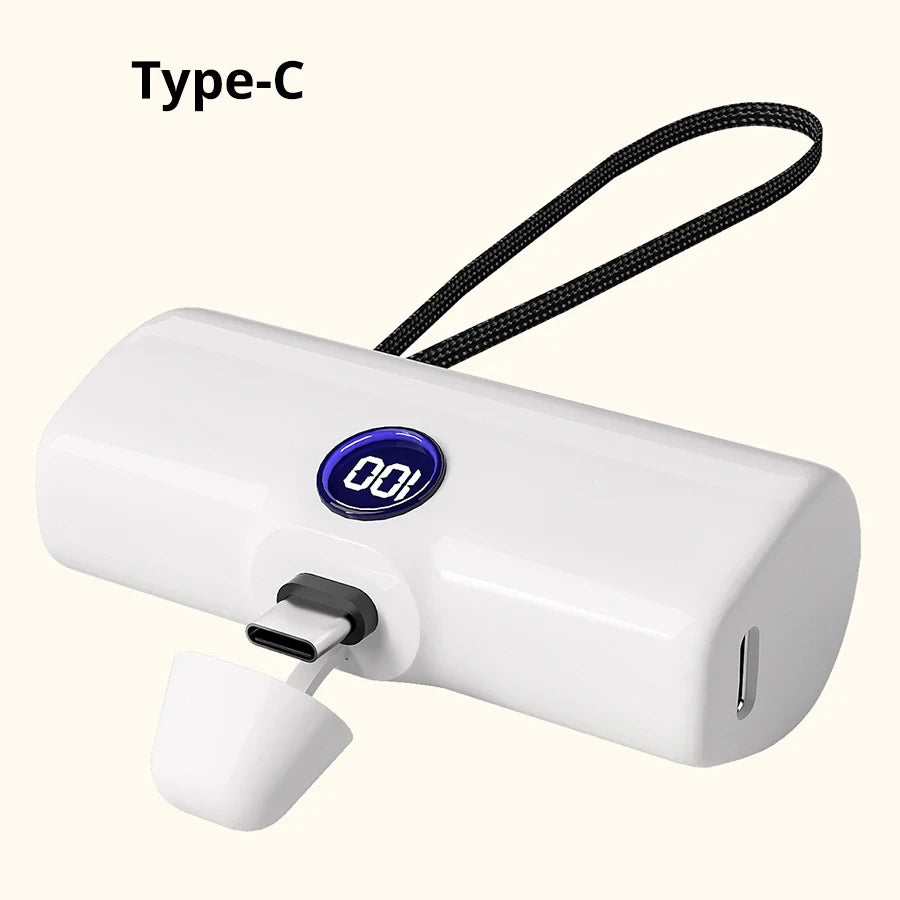 Volteeq Mini Capsule Power Bank (5000mAh)